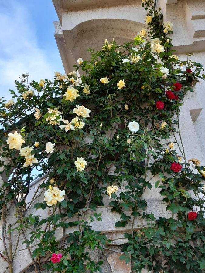 Bressa De Ma Affittacamere, Room & Breakfast Pietra Ligure Exterior foto